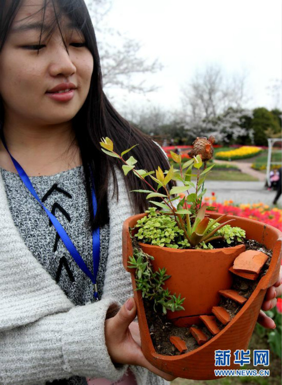3月28日,一名女生在展示她们用破损花盆和碎片打造的“斜径通幽”家庭小园景。